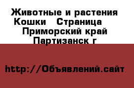 Животные и растения Кошки - Страница 3 . Приморский край,Партизанск г.